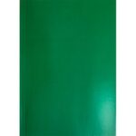 FASCIKLA LAKIRANA A4 ZELENA 25/1 9961